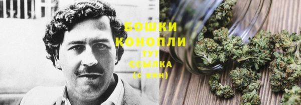ALPHA PVP Нефтекумск